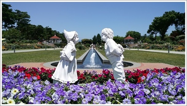 敷島公園ばら園の園内中央のモダンローズガーデン