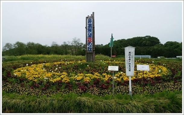 �@���W�]�Ԃ̋u