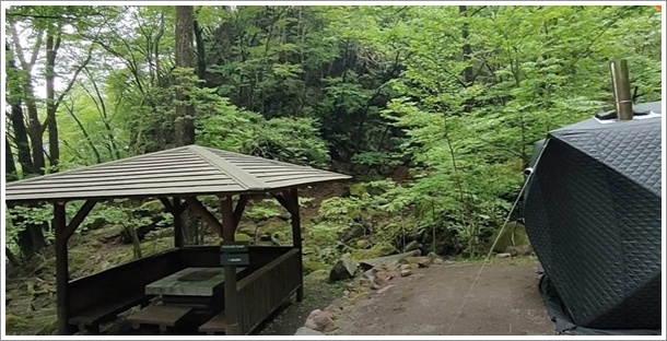 ���������X�ь����L�����v��