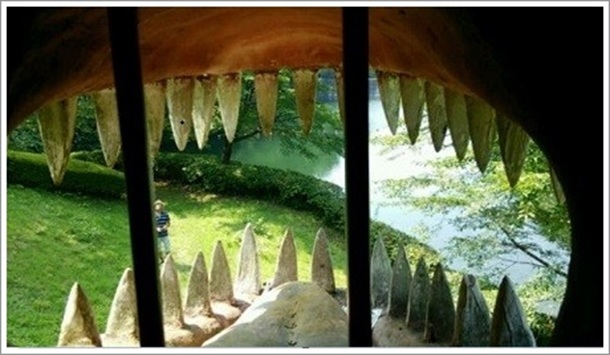 �e�B���m�U�E���X�̌��̒�