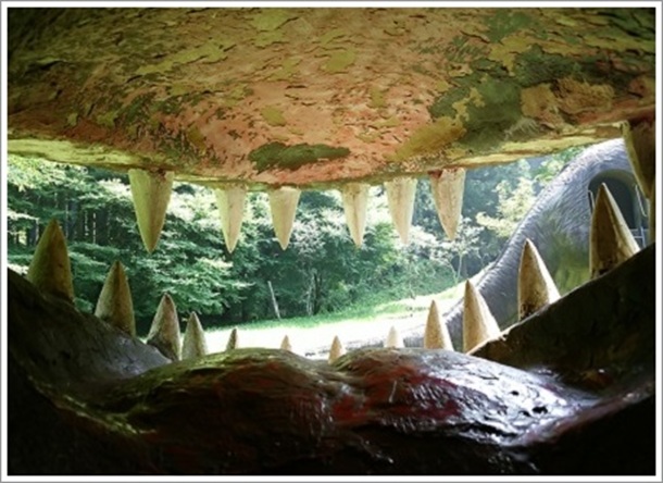 �f�B���g���h���̌��̒�