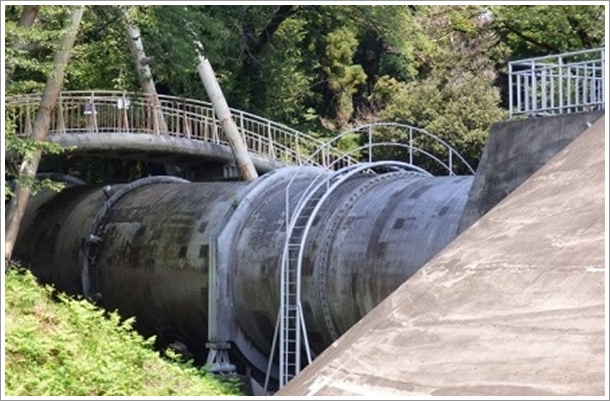 ���v���d��