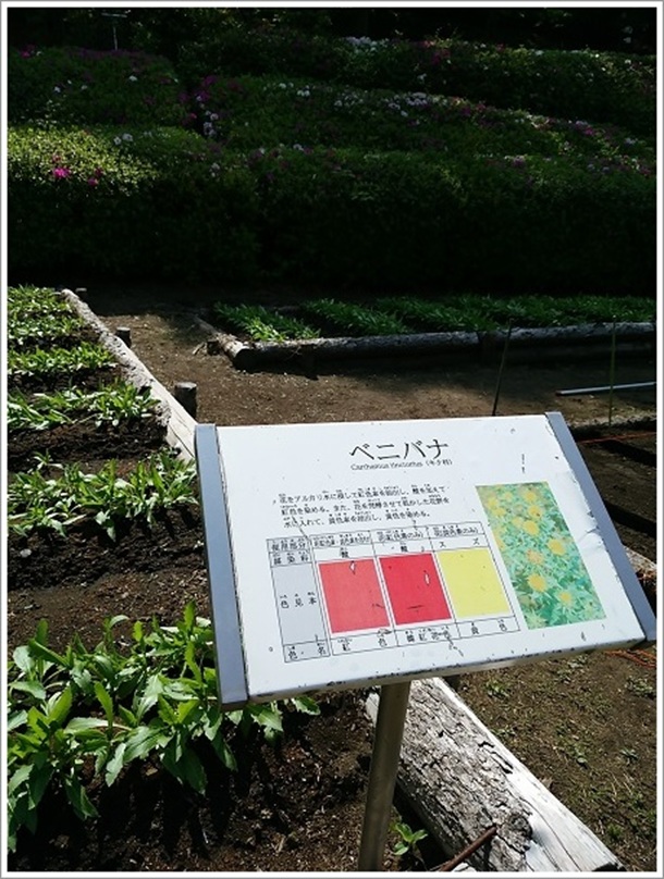 �x�j�o�i�i����s�����A�����j