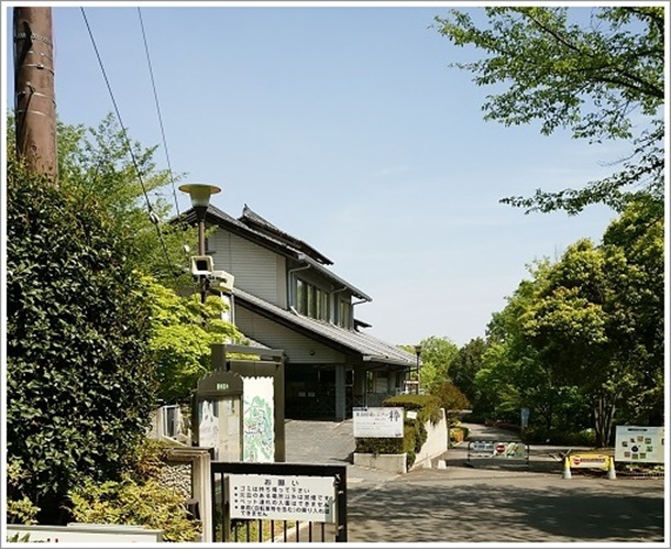 ����s�����A��������