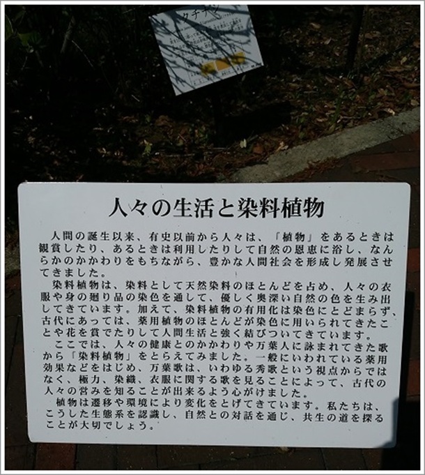 �l�X�̐����Ɛ����A��