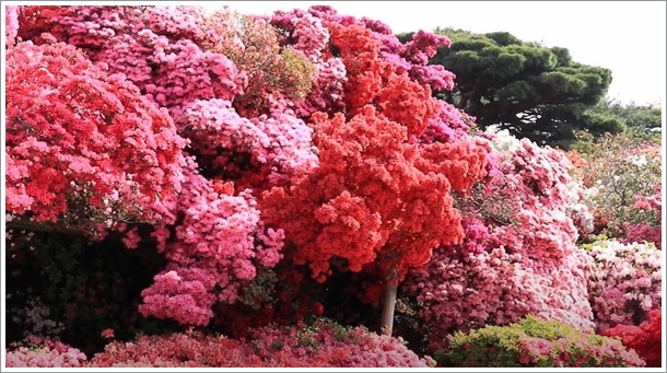 �����������̃c�c�W2