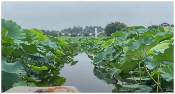 ����ԃn�X�܂�