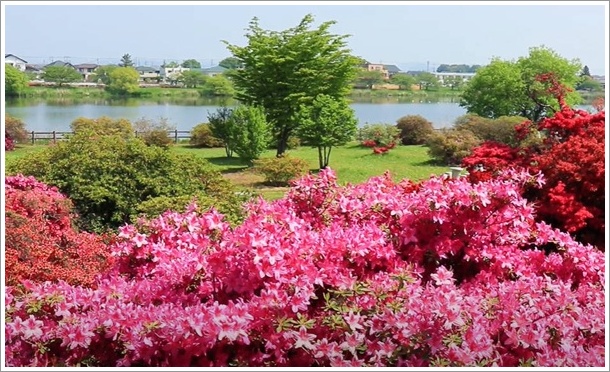 つつじが岡公園から見える城沼