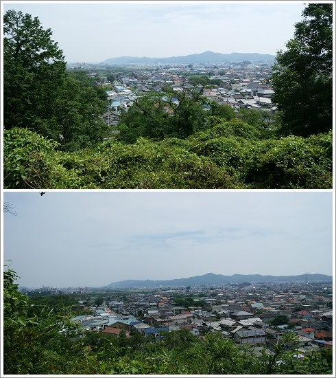 富士山見晴らし台からの景色