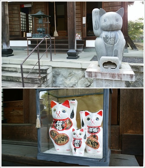 海雲寺招福殿前にいる招き猫