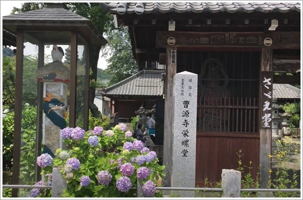 群馬のあじさい寺