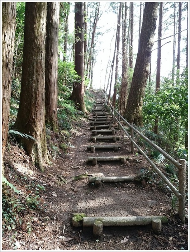 �ԕ�l�\���`�m�Α��Ɍ������R��