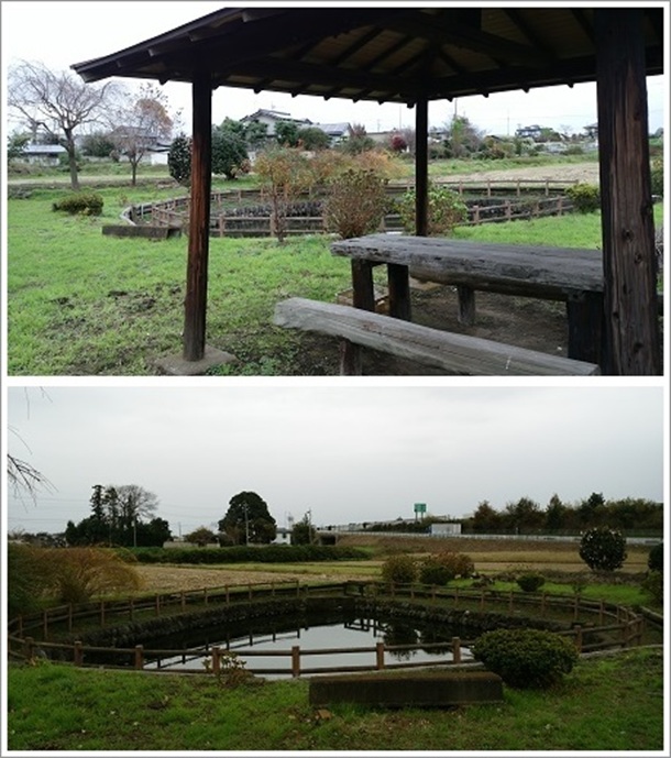 �N�����܂��r�̑S�̉摜