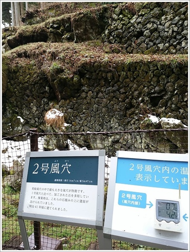 �r�D2�������̓������x