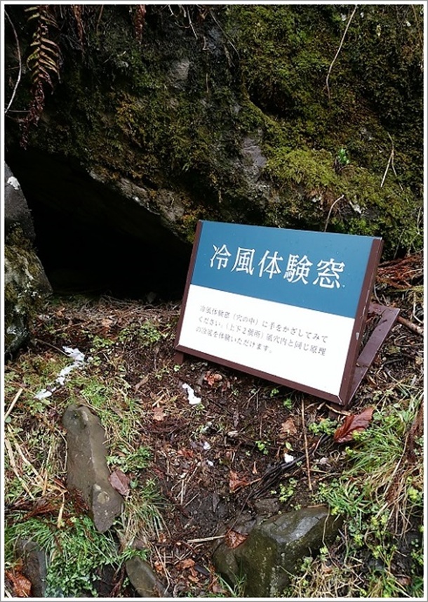 �r�D�����╗�̊���