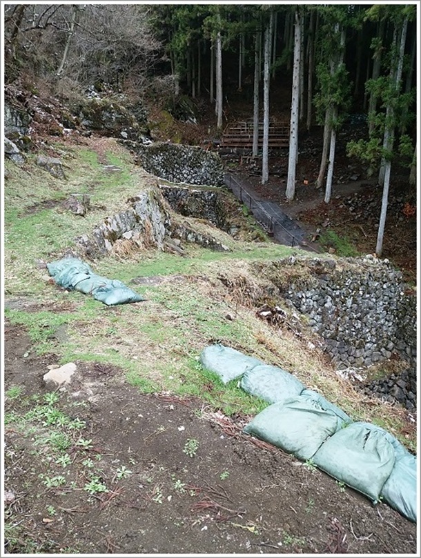 �������Ȃ��r�D�����i���E��Y�j