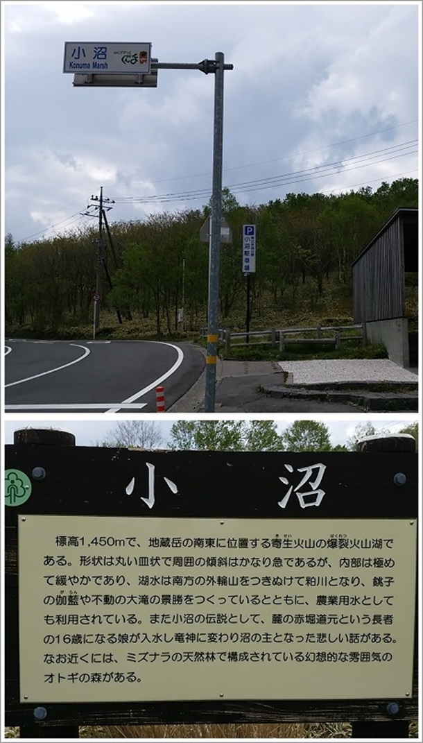 �ԏ鏬���Ə����̈ē��Ŕ�