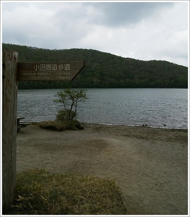 �ԏ鏬�����V����