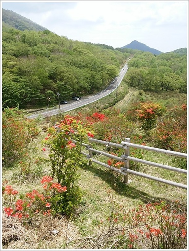 �����R����t�߂���