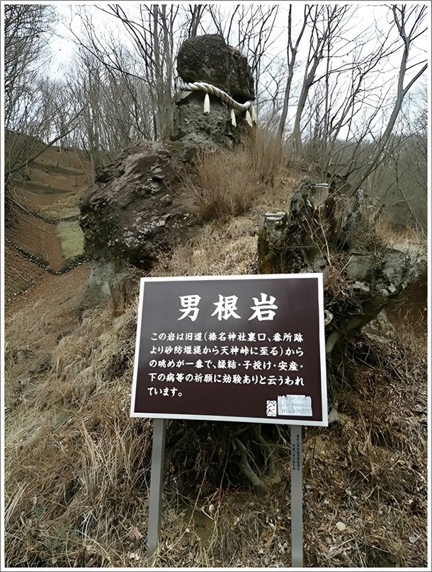 �����h�Ȓj����ł�