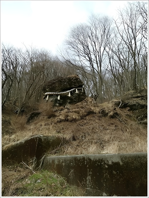 �j�����傫��������j����