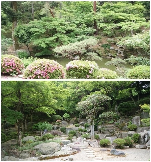 ��V���̓��{�뉀�����铿����