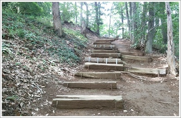 ��������Ă�x�m�R�o�R��