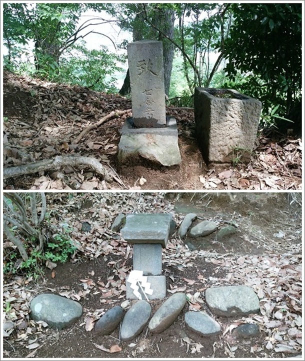 �x�m�o�R�������1���Œ����x�m������