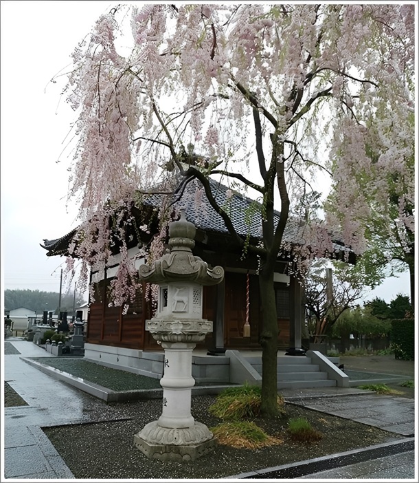 �������̉�