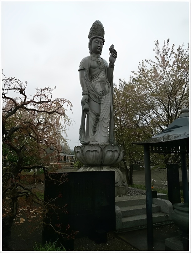 ���������ω���