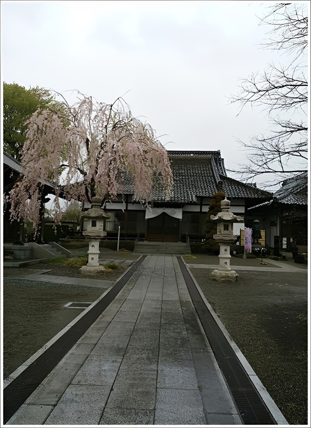 ���ʂ���ʂ���������