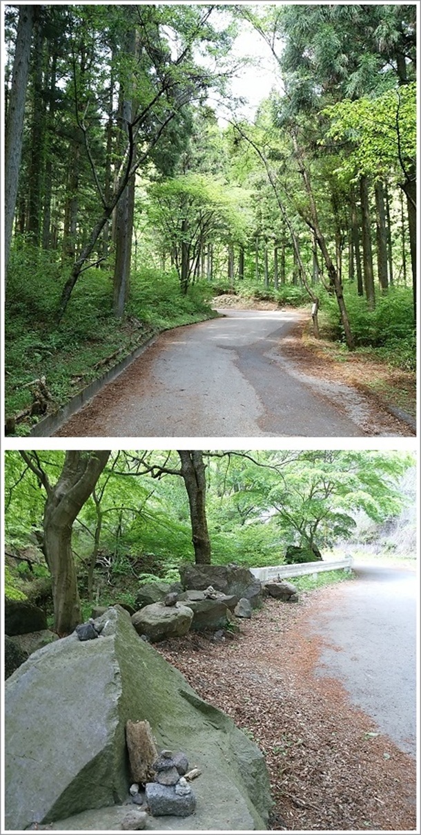 �D����ɑ����V�����ł�