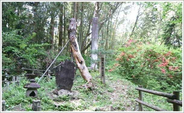 ����ڗ�،Q�n�̏��S��