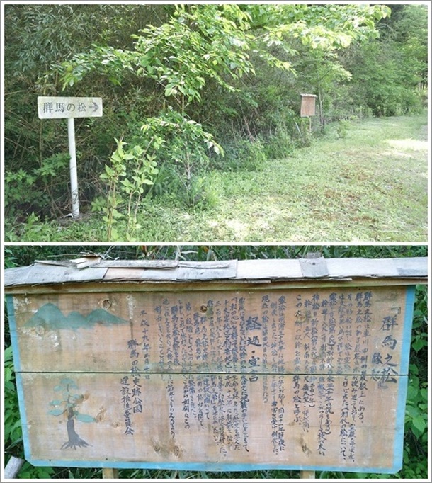 �Q�n�̏�������