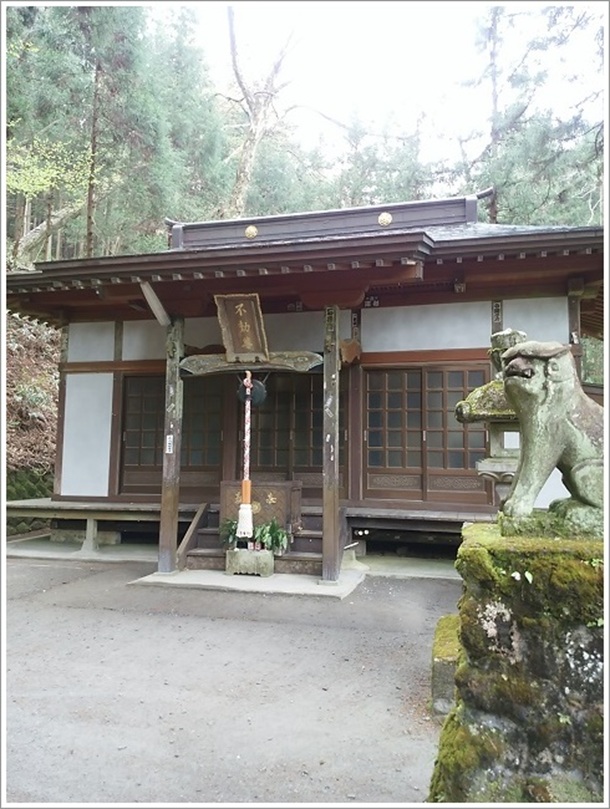 �����N���s����