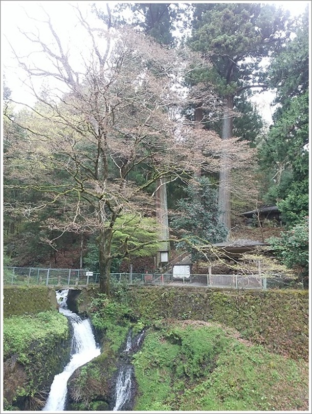 �����s�����̘e�ɗ��吙