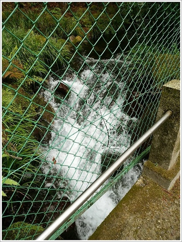 �ǂ�ǂ�N���o�������N��