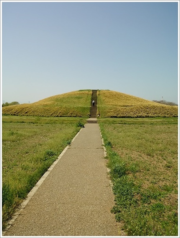 ��q�R�Õ��ł�