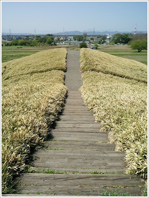 ��q�R�Õ����猩���i�F