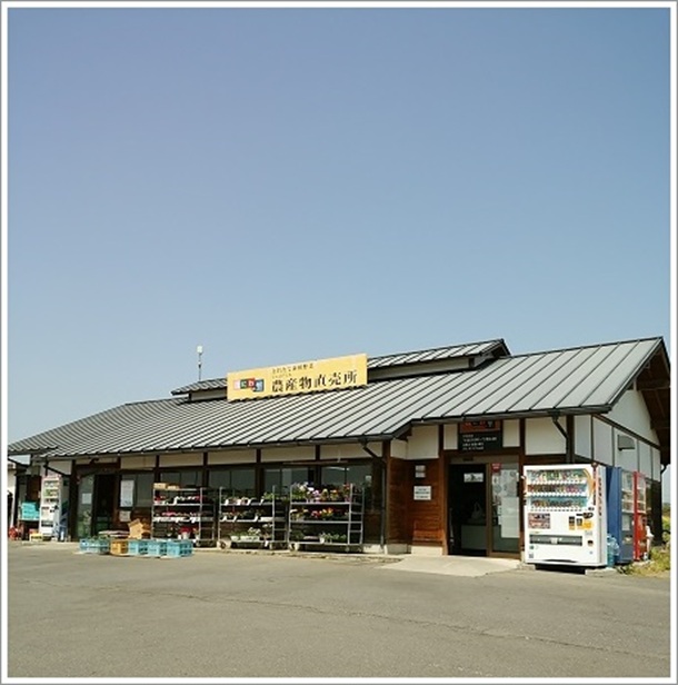 JA�_�Y��������