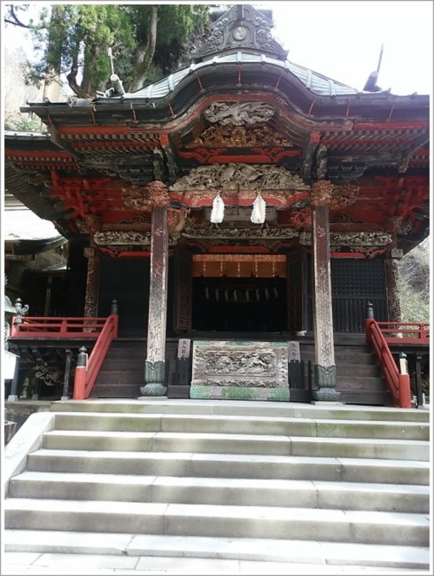 �{�ЁE���a�E�q�a�i���w��d�v�������j