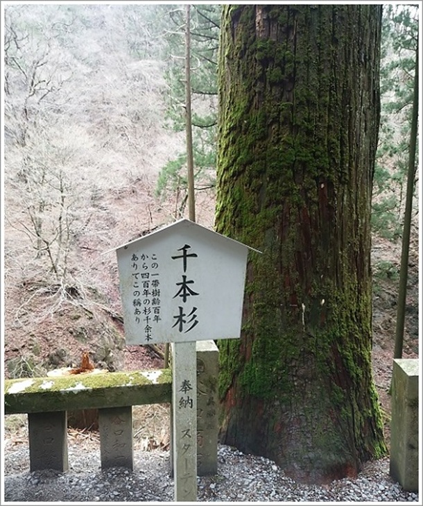 �Y���_�Ћ����ɂ�����j�����{��