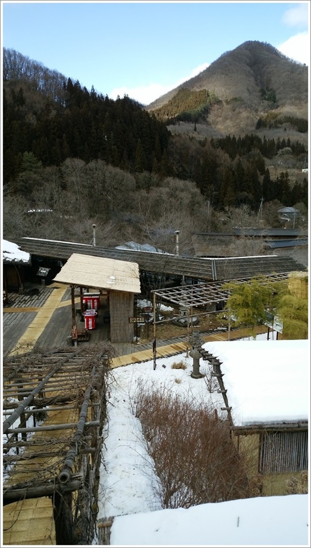 ����Ԃ����~����I�V���C�̕����B�����ʐ^