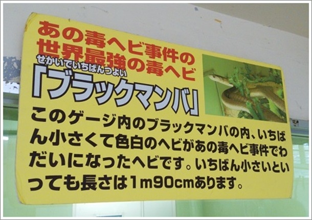 �������ꂽ�u���b�N�}���o