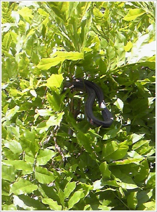 �Z���^�[��O�ɂ���w�r