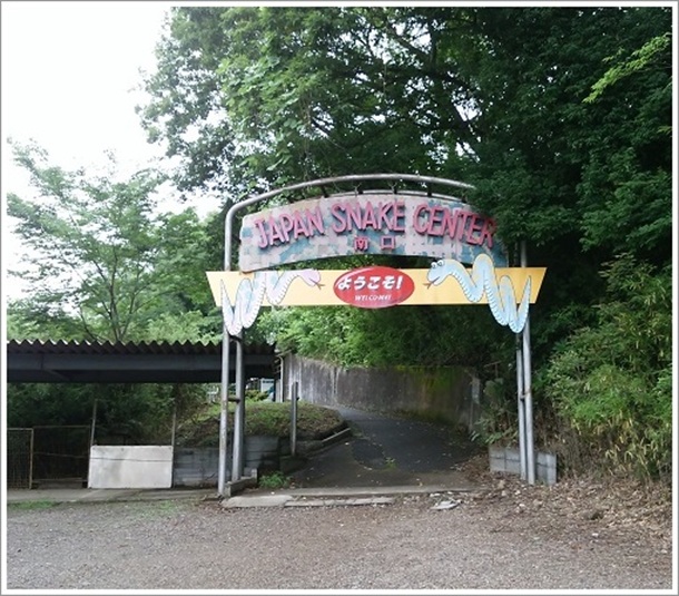 �W���p���X�l�[�N�Z���^�[���