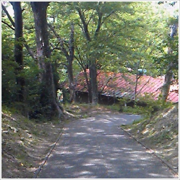 �W���p���X�l�[�N�Z���^�[�����Ɍ����Ẳ����