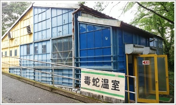 �W���p���X�l�[�N�Z���^�[����