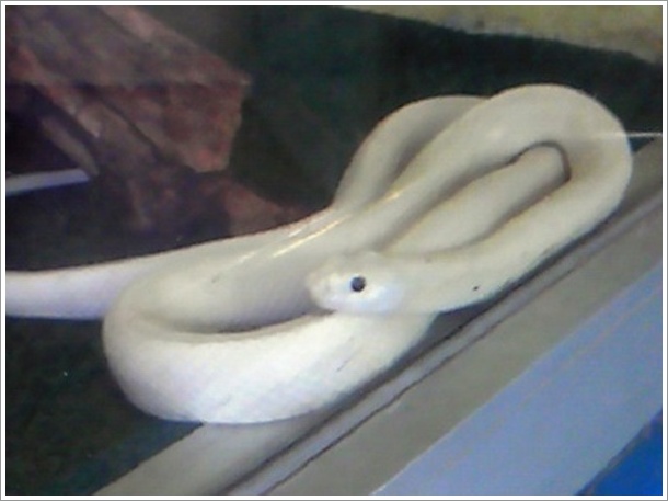 ���������w�r