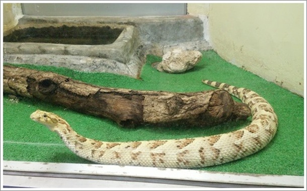 ���d�R�����T�L�V�}�n�u